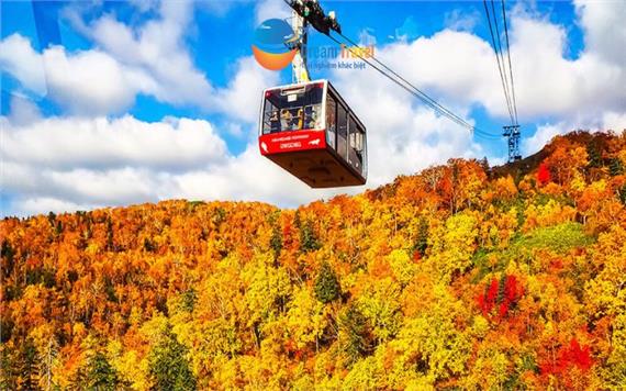 [HCM] Tour Nhật Bản Khám Phá Hokkaido Mùa Thu 6N5Đ
